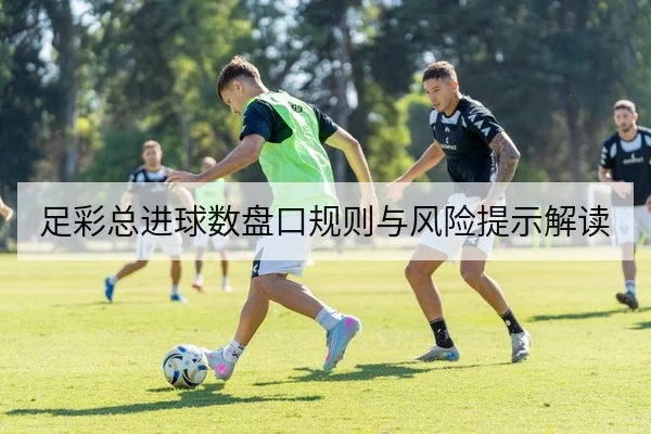 足彩总进球数盘口规则与风险提示解读